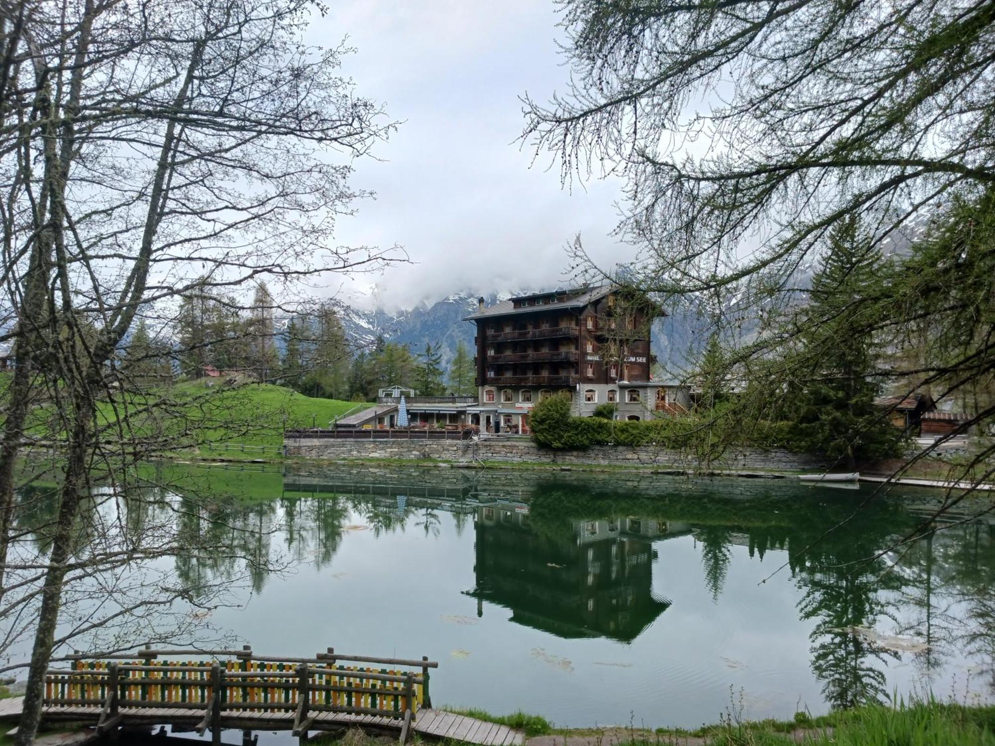 Chalet Hirsch Grächen Buitenkant foto